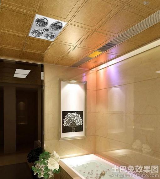卫生间吊顶效果图 吊顶效果图 吊顶 卫生间吊顶