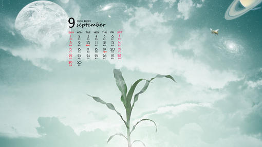 2013年风景九月份高清日历桌面壁纸,美丽的自然景色,绿色唯美的玉米,粗糙的绳子绑着木桩,白色的向日葵等等唯美的景色,给人一种清爽的感觉,如果你喜欢这喜欢这些壁纸,那就赶紧到美桌网下载,记得分享给你的好朋友!
